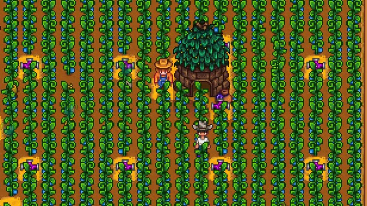 ancient-fruit-stardew-valley