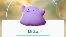 Ditto Pokemon GO