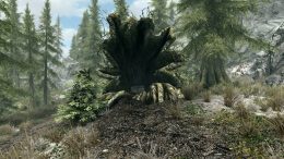 Skyrim Riverwood Treasure.